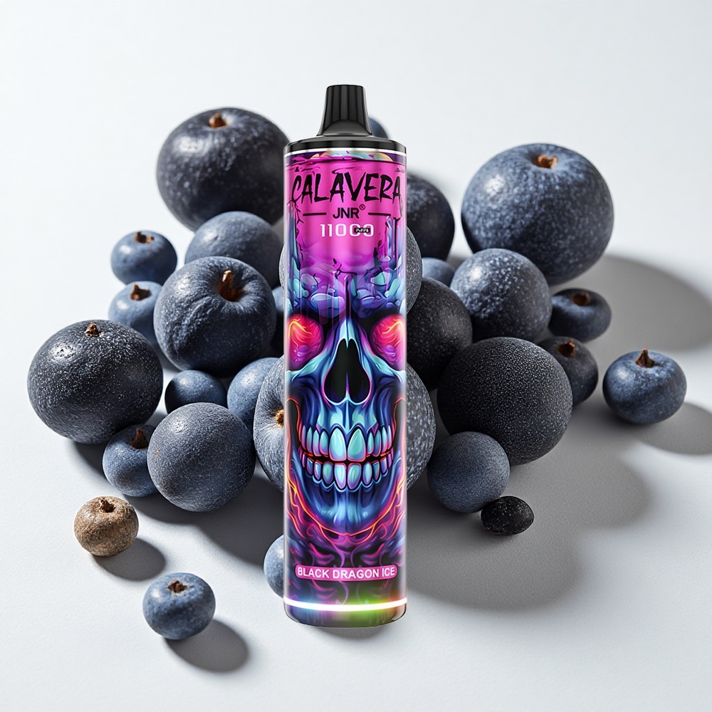 JNR Calavera 11000 نفخة سيجارة إلكترونية تنين أسود جليد النوع-C 21ml