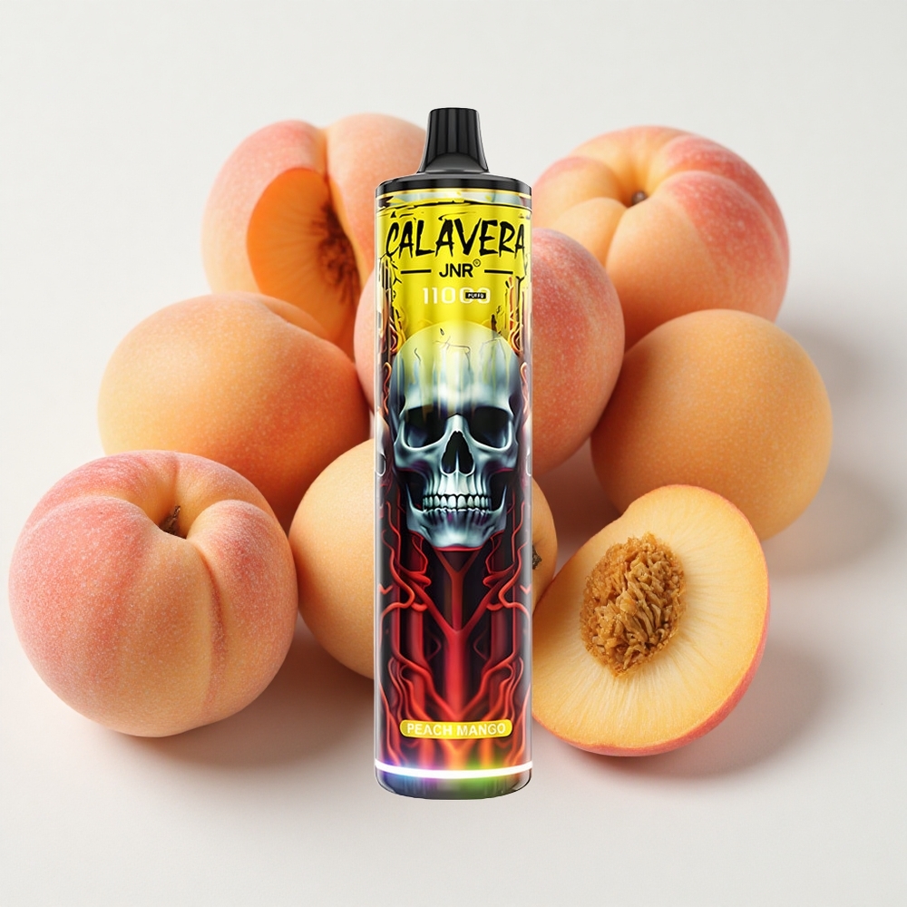 JNR Calavera 11000 نفثةبخوخ مانجو USB النوع-C سعة البطارية 850 مللي أمبير