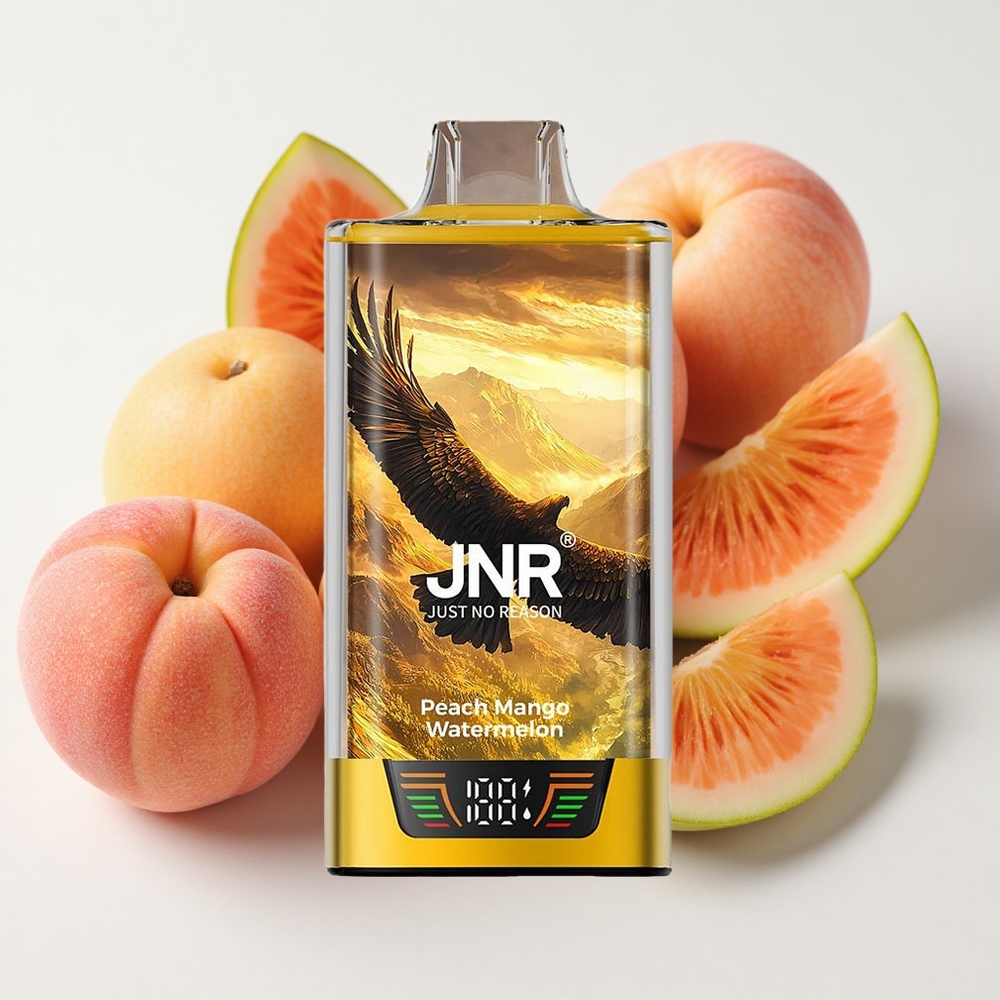 JNR Falcon Pro 28000 بخوخ مانجو بطيخ 30مل شاشة ذكية