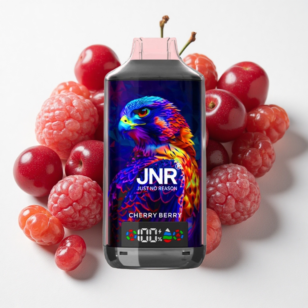 JNR Falcon X 18000 نفخة كرز وتوت سعة بطارية 750mAh شحن سريع النوع-C