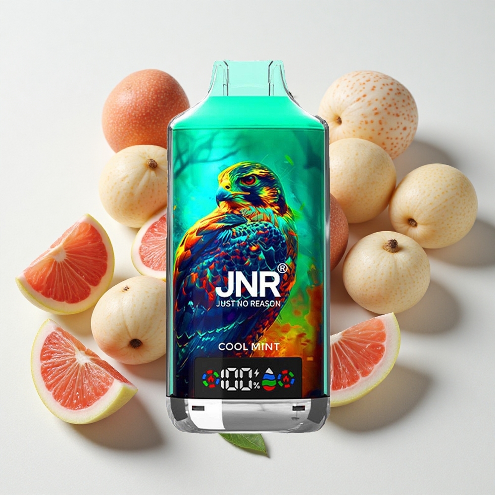 JNR Falcon X 18000 نفخة سجارة إلكترونية نعناع بارد شاشة رقمية وشاحن سريع النوع-C