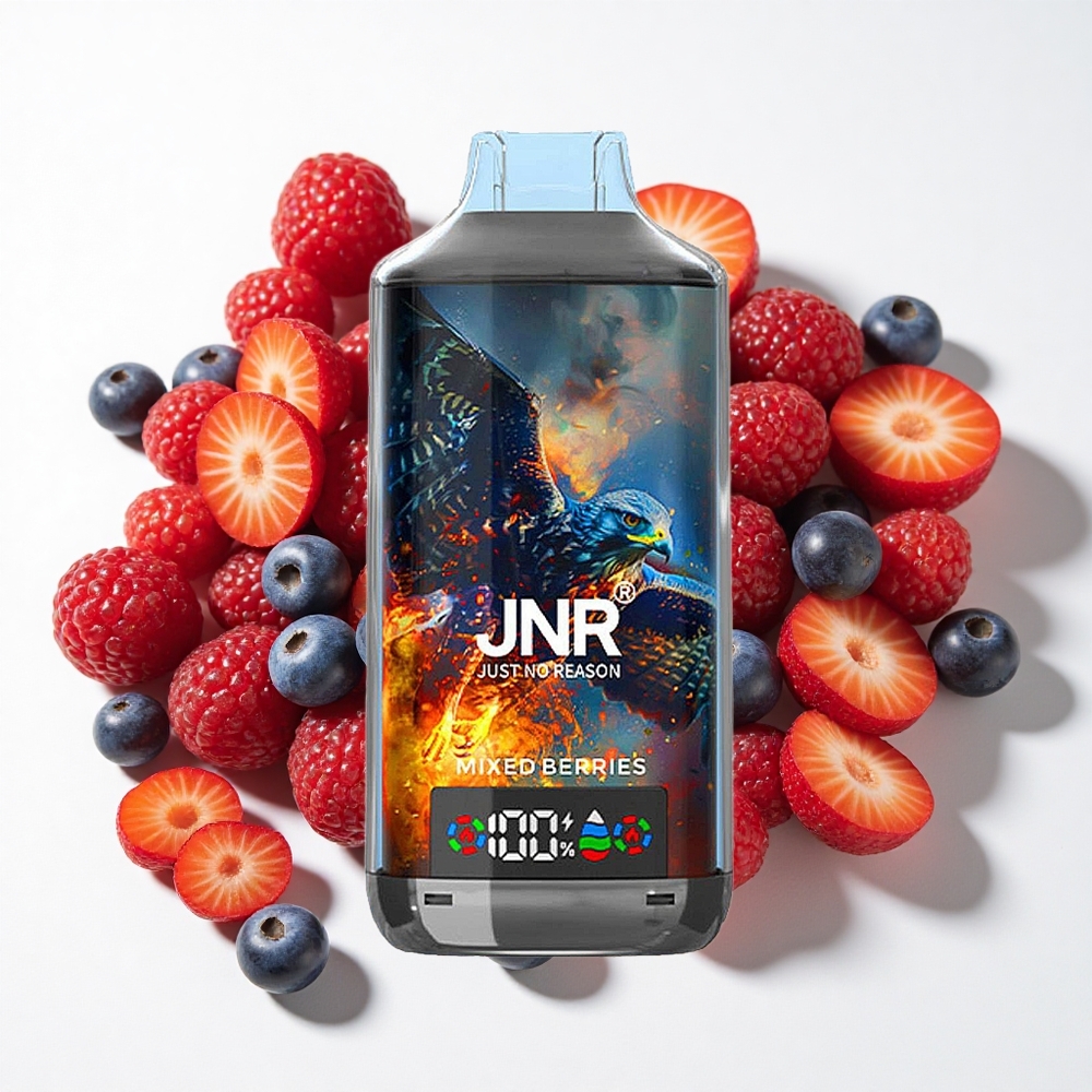 JNR Falcon X 18000 نفخة تبغ إلكتروني توت مشكل شاشة رقمية شحن سريع النوع-C