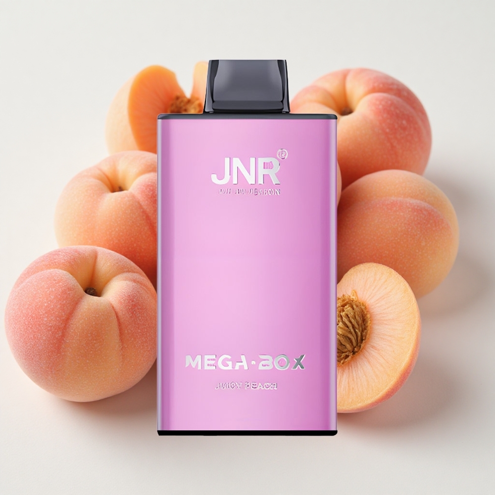 JNR Mega Box 25000 نفخة سجائر إلكترونية خوخ عصيري سعة 30مل وشحن سريع النوع-C
