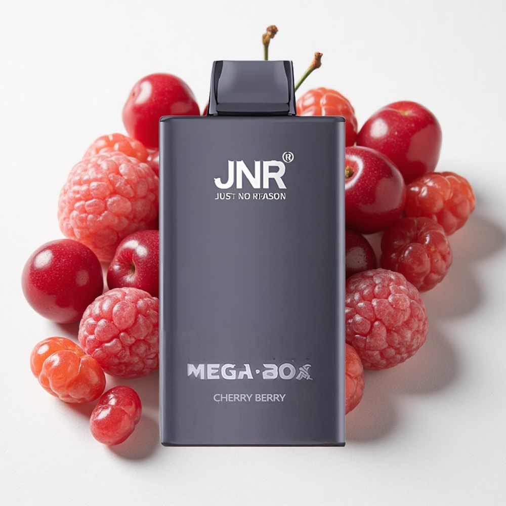 JNR Mega Box 25000 نفخة علبة سريعة الشحن بتقنية النوع-C كرزي توتي