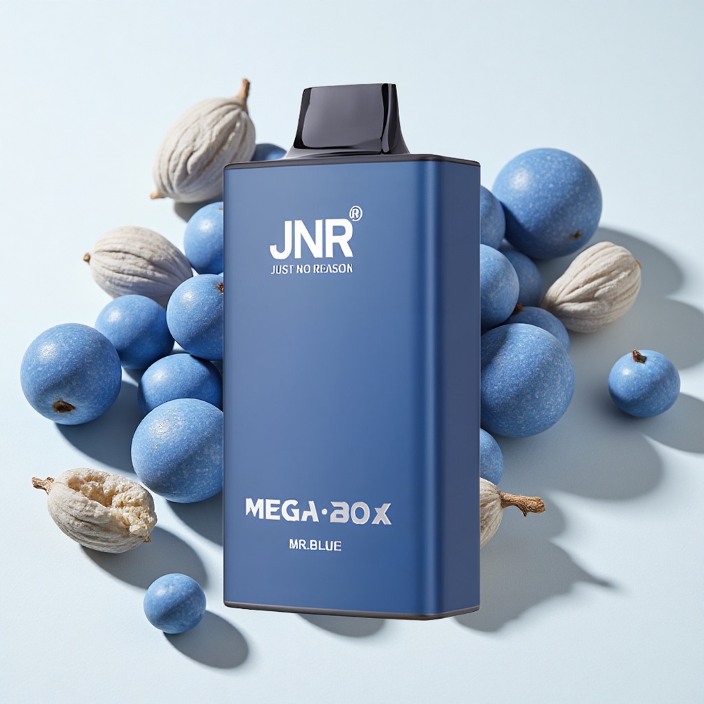 JNR Mega Box 25000 نفخة سيجارة إلكترونية Mr Blue سعة 30 مل و 850 مللي أمبير