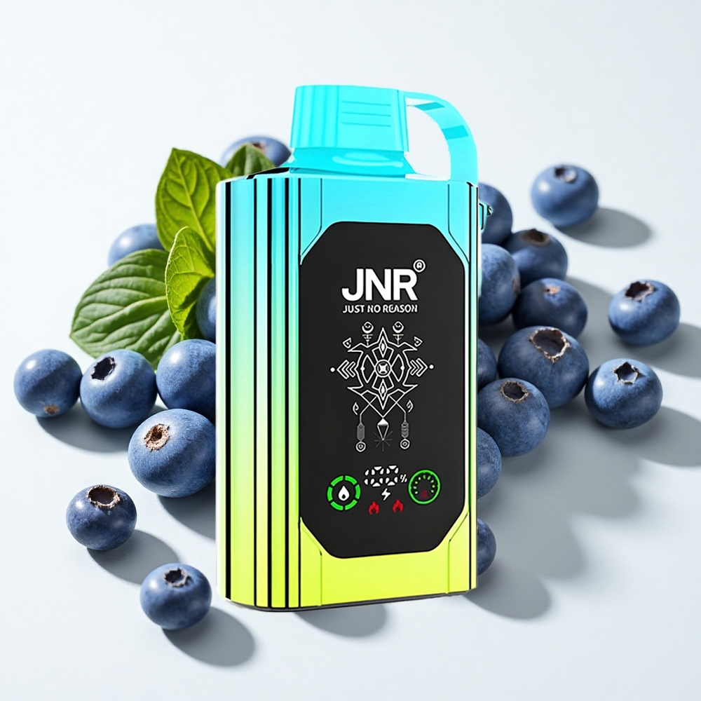JNR Shisha Hookah Box 20500 نفخة نعناع توت أزرق شاشة عالية الدقة وشحن سريع نوع-C