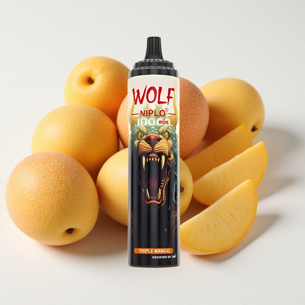 JNR Wolf Niplo 10000 نفخة مانجو ثلاثي شبكة 1.0 أوم شحن سريع النوع-C