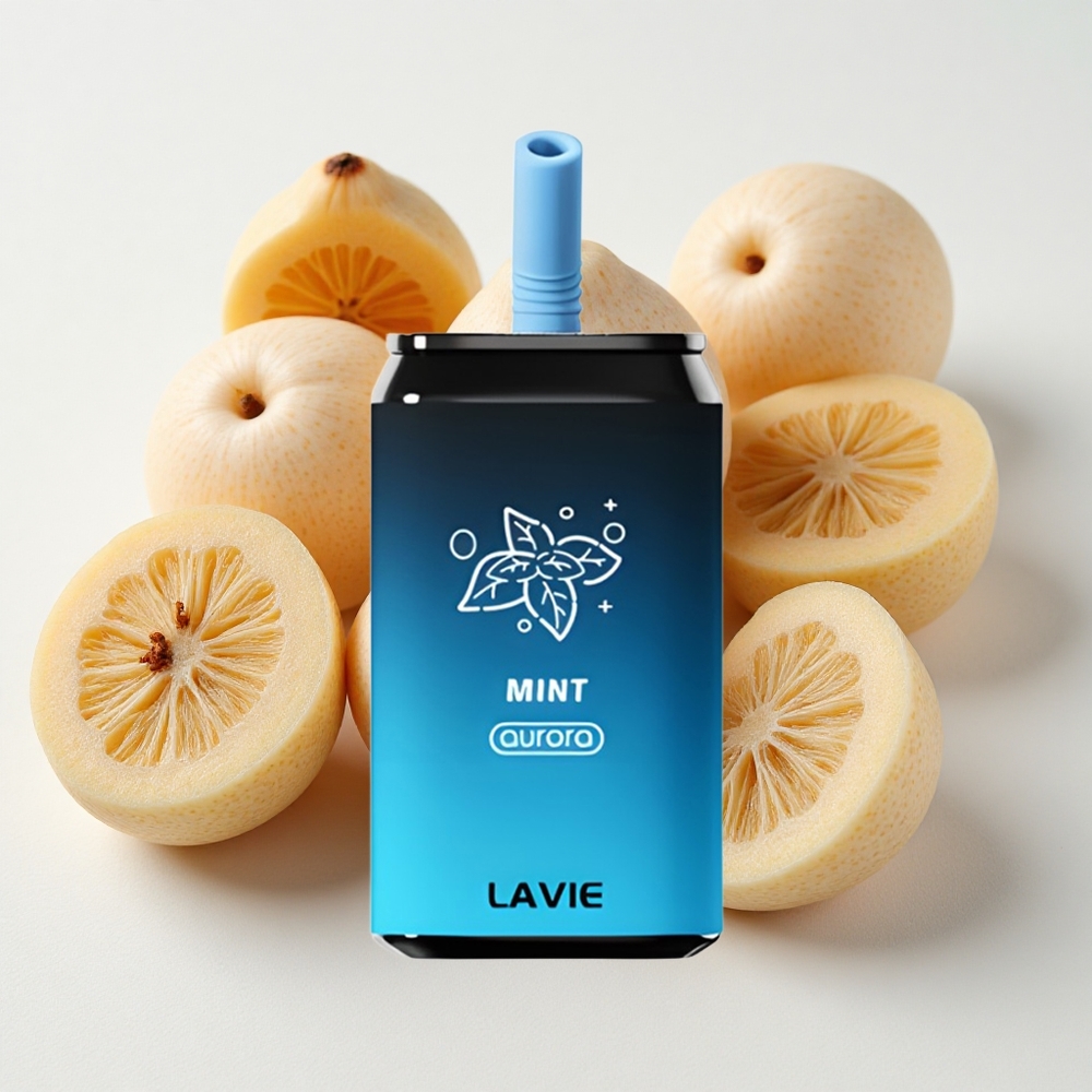 LAVIE Aurora 11000 نَفَثات نعناع 22ML 650mAh
